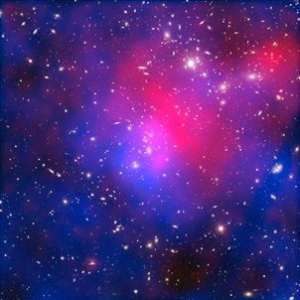 Acacia y el elixir hurtado a los dioses