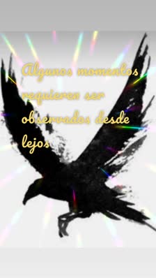 Algunos momentos requieren ser observados desde lejos